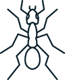 Sacramento Ant Control Services