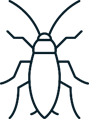 Sacramento Cockroach Extermination Services