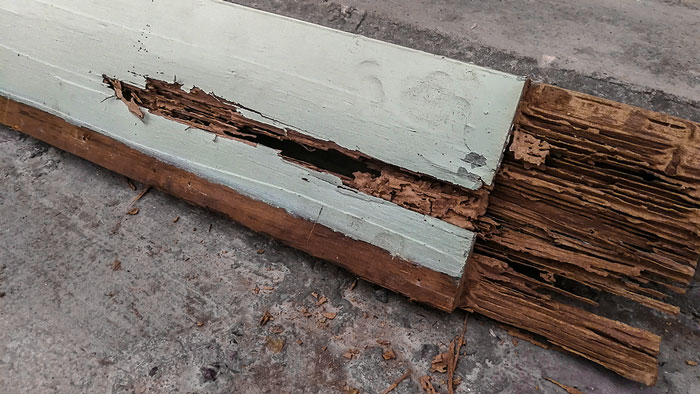 Termite Dry Rot Repair