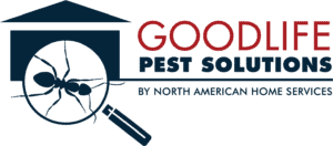 Pest Control Services