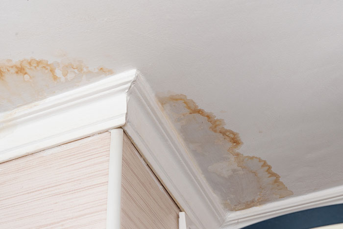 Leaky Roof Repair