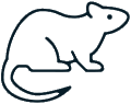 Sacramento Rodent Control Services