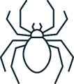 Sacramento Spider Control Services