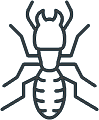 Sacramento Termite Control Services