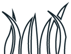 Sacramento Crape Myrtle Care Services